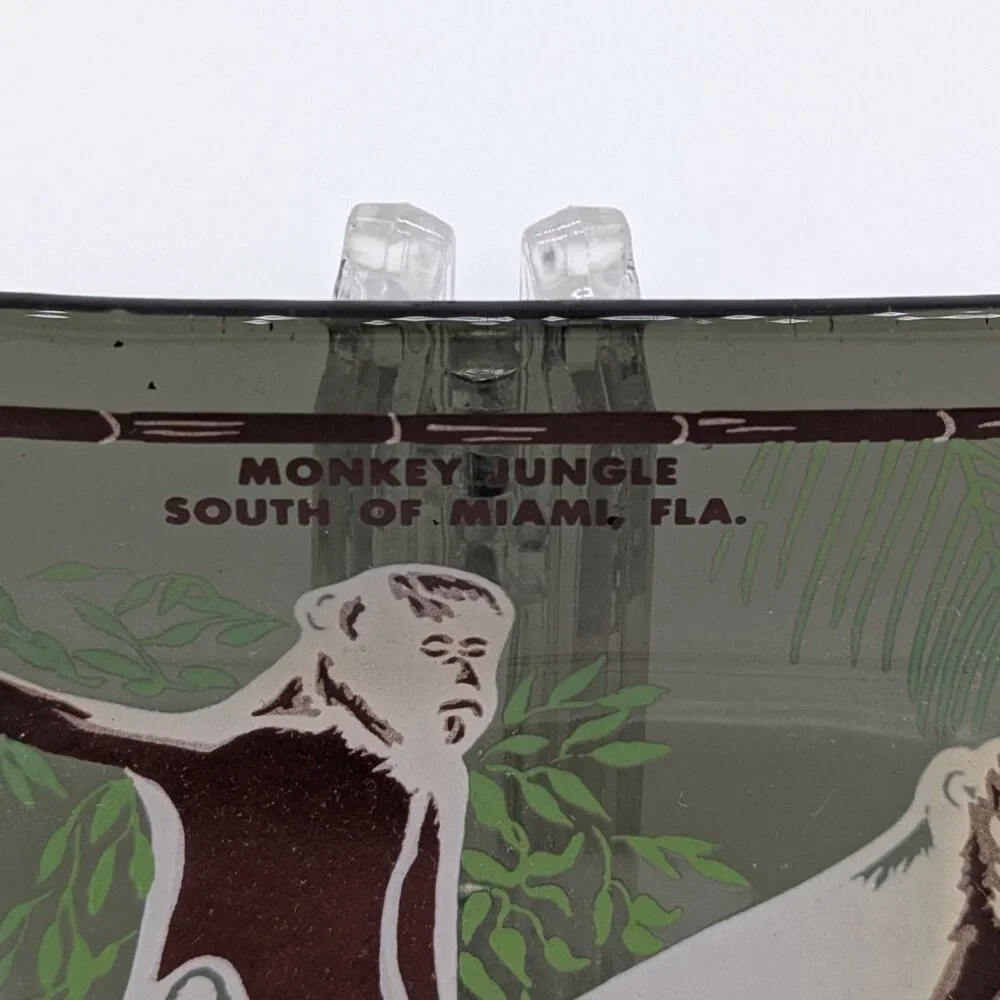 Vintage Monkey Jungle Glass Souvenir Dish Miami Florida Green Brown Chimp Zoo - Picture 3 of 6